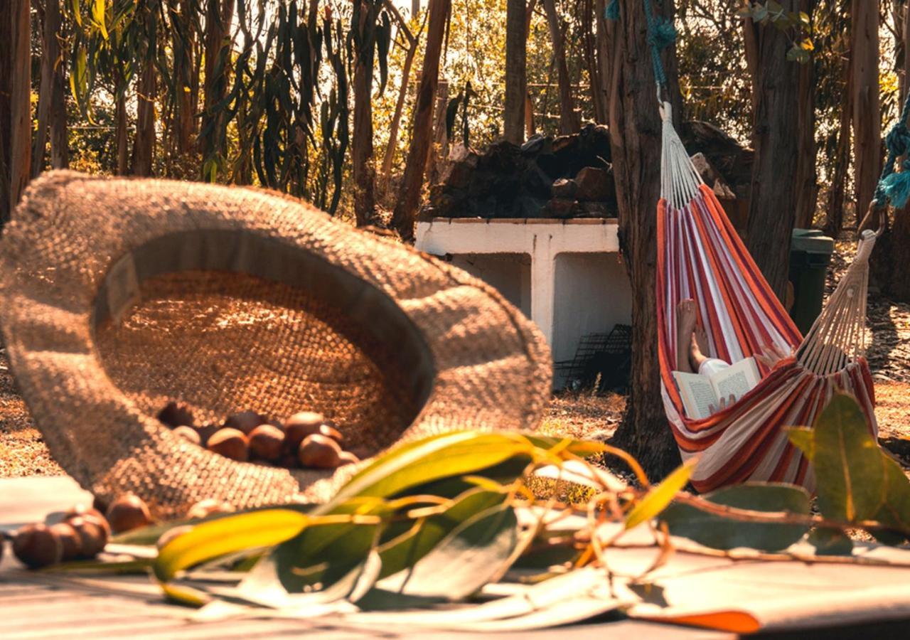 Cerro Da Fontinha Guest House São Teotónio Стая снимка